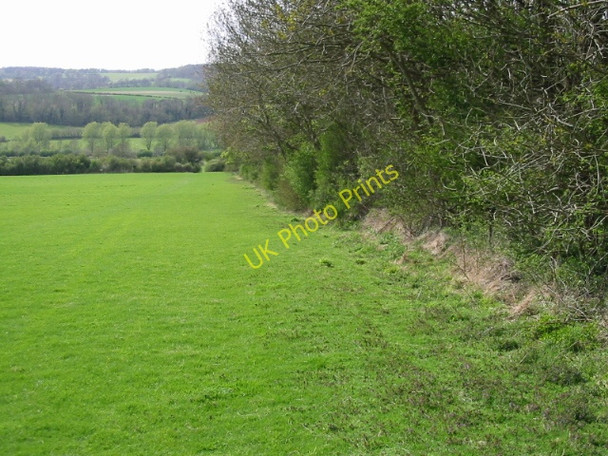 Photo 6"x4" View W along field edge Bagham c2008