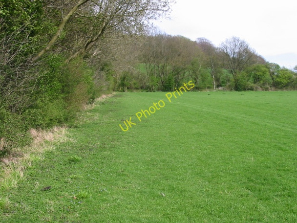 Photo 6"x4" Looking E along field edge Bagham c2008
