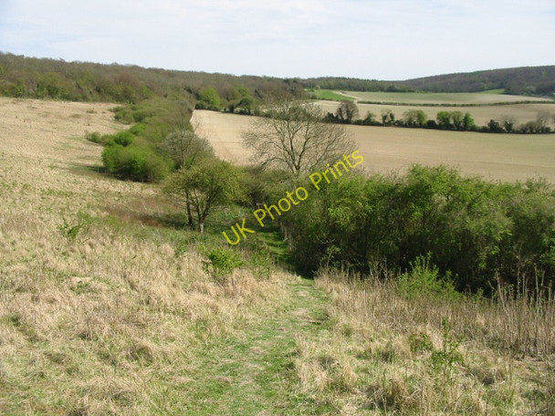 Photo 6"x4" Footpath to Stump Shave Bagham c2008