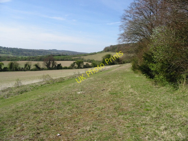 Photo 6"x4" View across the fields to the edge of Down Wood Bagham c2008