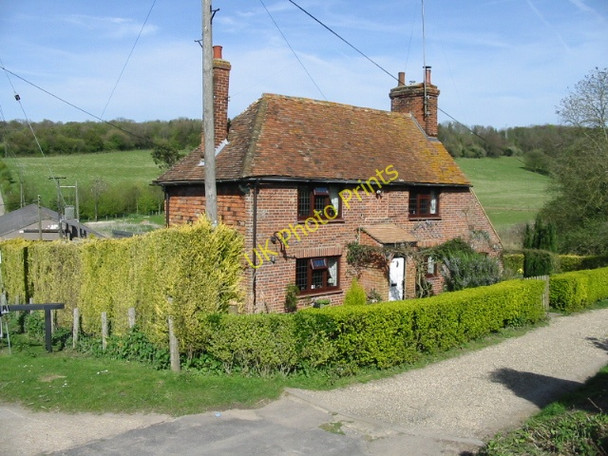 Photo 6"x4" Forest Farmhouse Bagham c2008