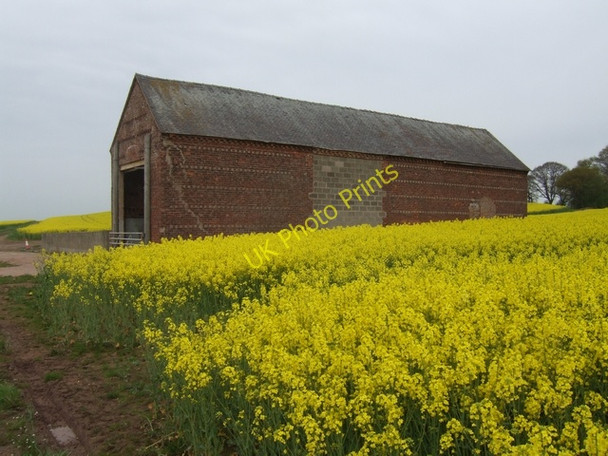Photo 6"x4" Colehurst Building Crickmery c2008