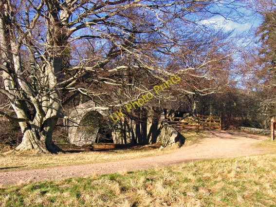 Photo 6"x4" Bridge of Tanar at Braeloine Millfield\/NO4896 c2008