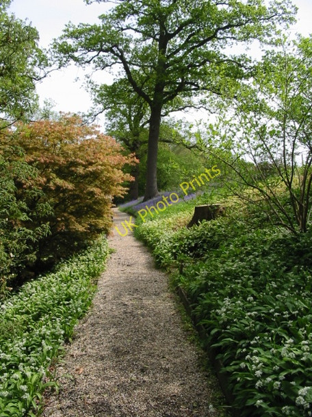 Photo 6"x4" Garden walk at Hole Park Beacon Hill\/TQ8232 c2008