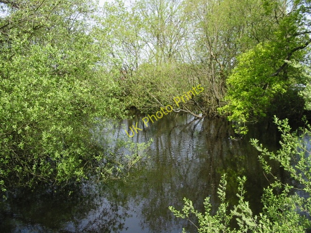 Photo 6"x4" Pond near the entrance to Pullington Fold Farm on the Benenden Road Pullington c2008