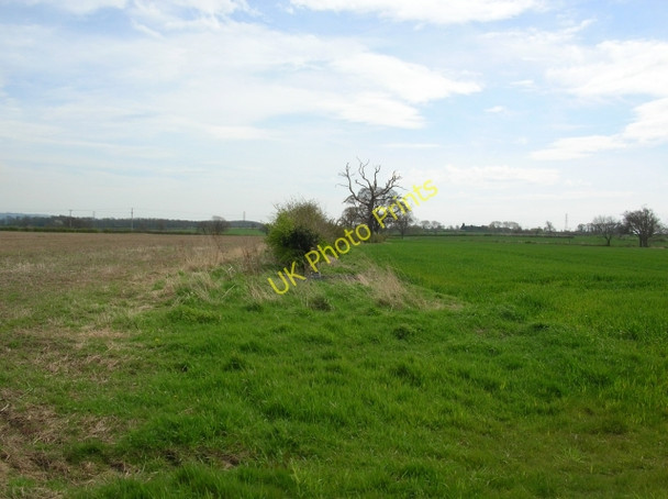 Photo 6"x4" Hedgerow near Harton Harton\/SE7061 c2008