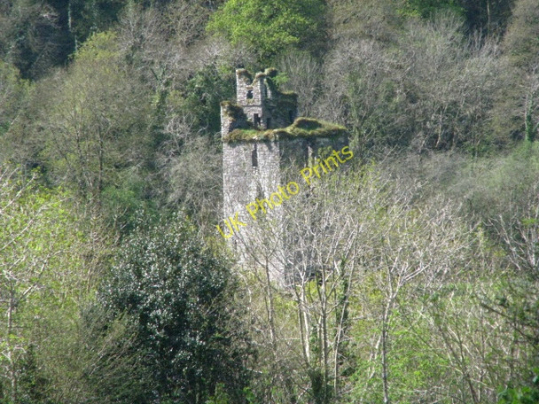 Photo 6"x4" Old castle Thomastown\/S5842 c2008