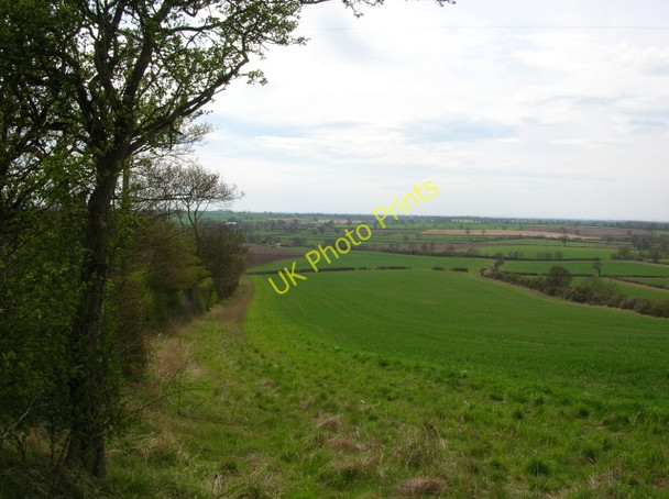 Photo 6"x4" Down Whitwell Hill Crambe c2008