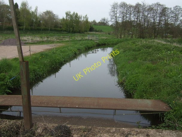 Photo 6"x4" River Tern upstream of the fish farm Market Drayton c2008