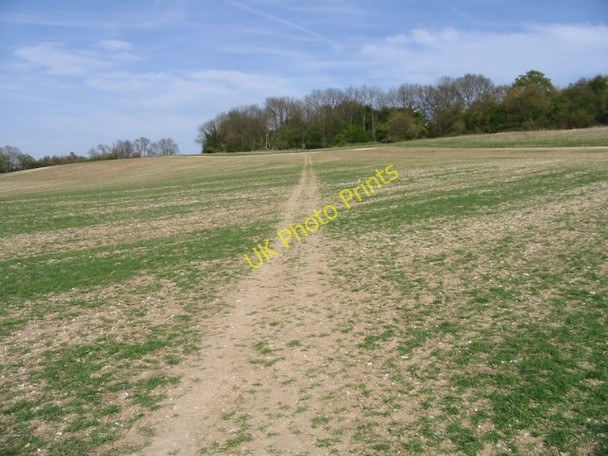 Photo 6"x4" Route of the Stour Valley Walk up Blue Downs Bagham c2008
