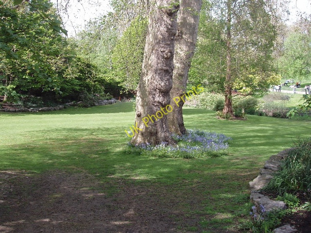 Photo 6"x4" The Dell, Hyde Park Westminster c2008