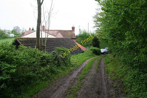 Photo 6"x4" The Old Road to Longdon Longdon\/SO8336 c2008