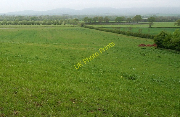 Photo 6"x4" Fields of Longdon Marsh Longdon\/SO8336 c2008