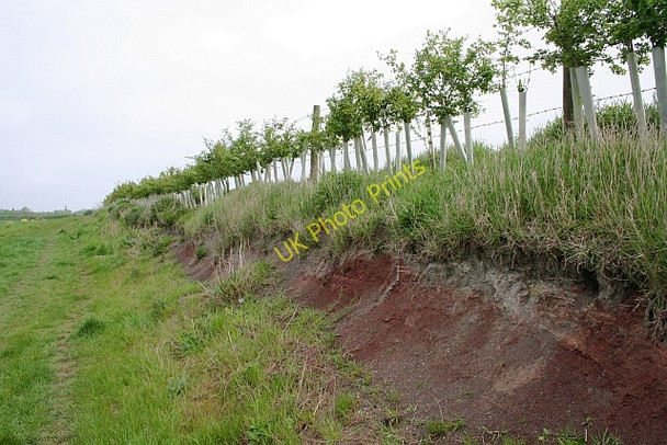 Photo 6"x4" The Old Road to Longdon Buckbury c2008