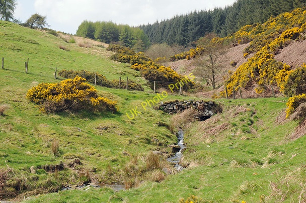 Photo 6"x4" Bridge over Burn on Track to Wester Clow Path of Condie c2008