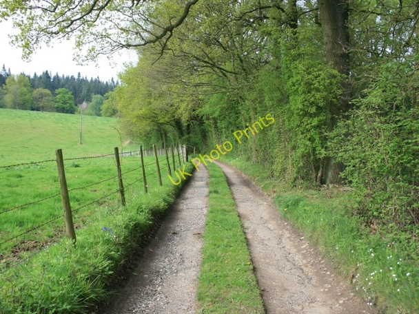 Photo 6"x4" Track to The Old Malthouse & Courtlands Abinger Hammer c2008