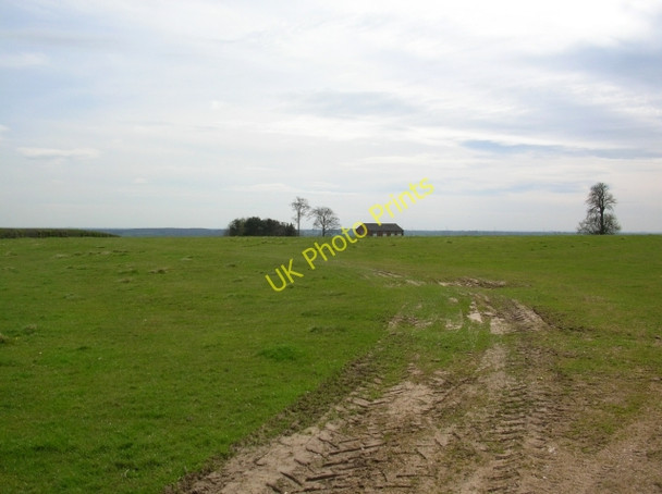 Photo 6"x4" Evidence of the Point to Point Whitwell-on-the-Hill c2008