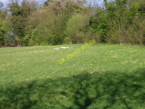 Photo 6"x4" Meadow with Primula veris L. (Cowslip) to the East of footpath Crundale\/TR0749 c2008