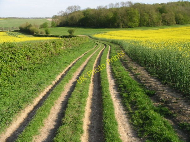 Photo 6"x4" Four lane farm track and footpath Crundale\/TR0749 c2008