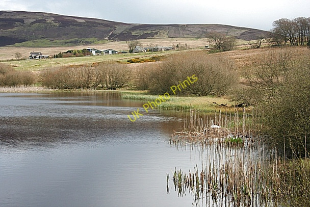Photo 6"x4" Threipmuir Reservoir Malleny Mills c2008