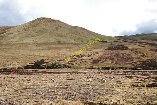 Photo 6"x4" West Kip Silverburn\/NT2060 c2008