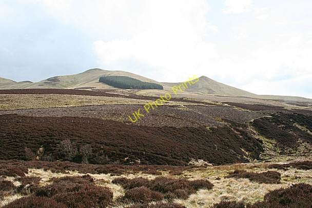 Photo 6"x4" The Kips Silverburn\/NT2060 c2008