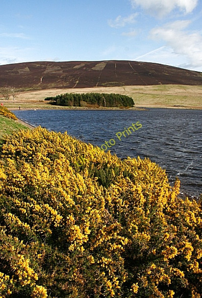 Photo 6"x4" Dam at Threipmuir Reservoir Malleny Mills c2008