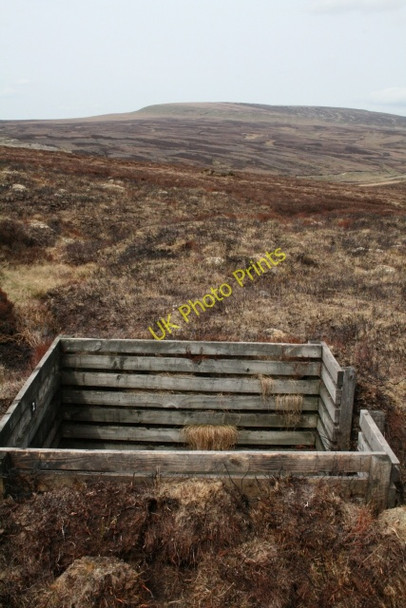Photo 6"x4" Grouse Butts on Priests Tarn Hill Priest's Tarn c2008