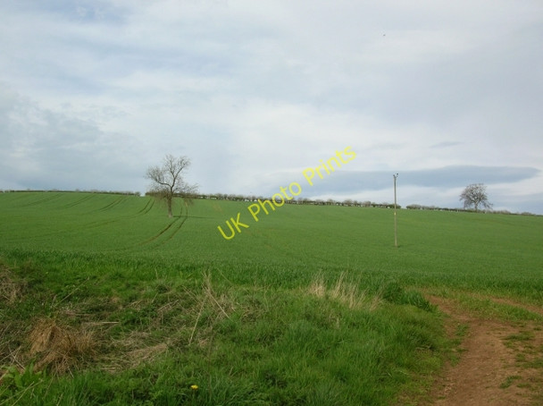 Photo 6"x4" Farmland near Crambe Crambe c2008