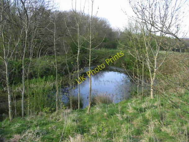 Photo 6"x4" Small pond at the top of the hill near Marriage Farm Hassell Street c2008