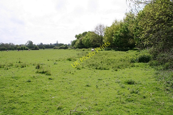 Photo 6"x4" Rough sheep pasture Buckbury c2008
