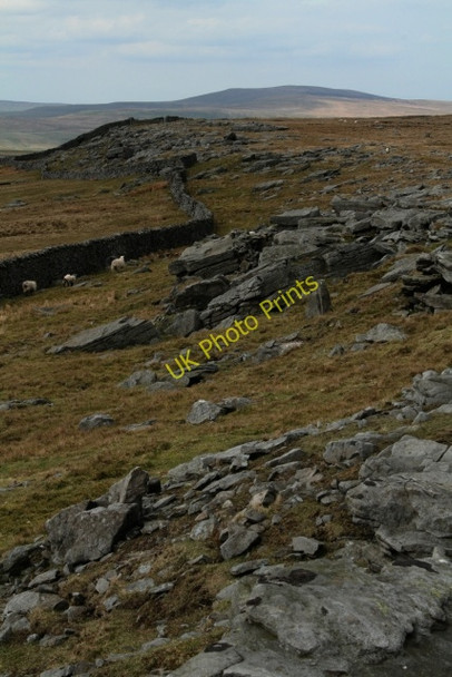 Photo 6"x4" The Western Edge of Conistone Moor Kettlewell c2008