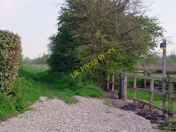 Photo 6"x4" Footpath to Skipsea Ulrome c2008
