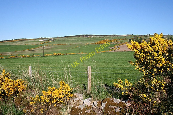 Photo 6"x4" Califer from near Blervie Castle Califer c2008