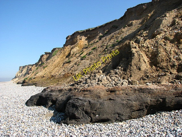 Photo 6"x4" Outcrop of the West Runton Freshwater Bed West Runton c2008