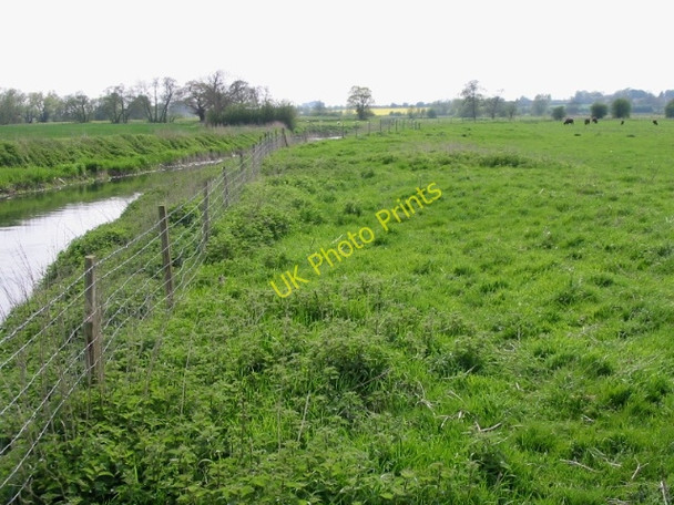 Photo 6"x4" Looking SW along the Great Stour Naccolt c2008
