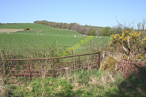 Photo 6"x4" Unnamed Hill above Yonder Bognie Bogniebrae c2008