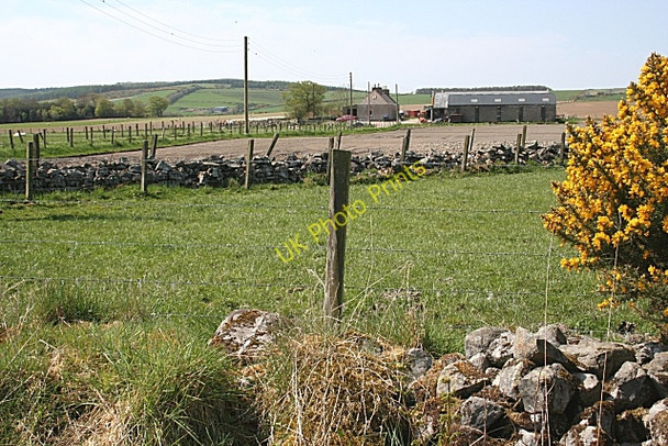 Photo 6"x4" Newton of Haddo Inverkeithny c2008