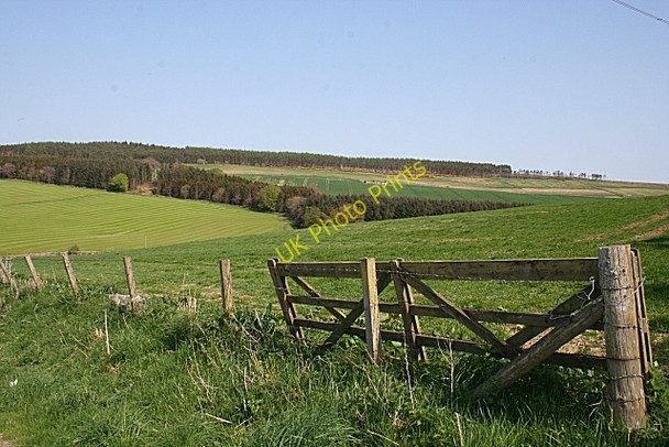 Photo 6"x4" Looking towards Bogcoup from near Gariochsburn Corse\/NJ6040 c2008