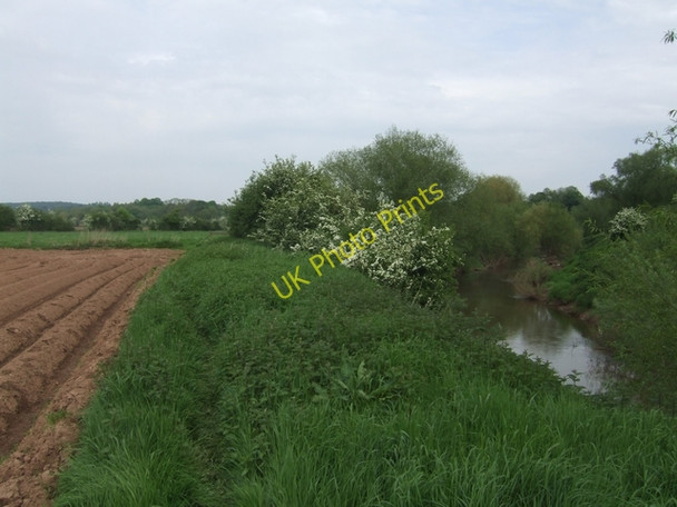 Photo 6"x4" Battle of Worcester - Meadows beside the River Teme Diglis c2008