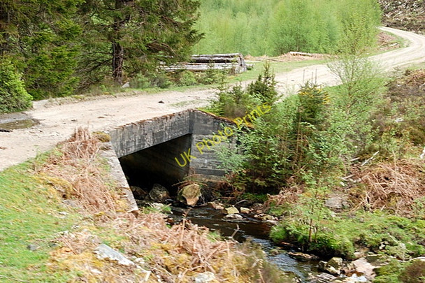 Photo 6"x4" Forest Road Faichem c2008