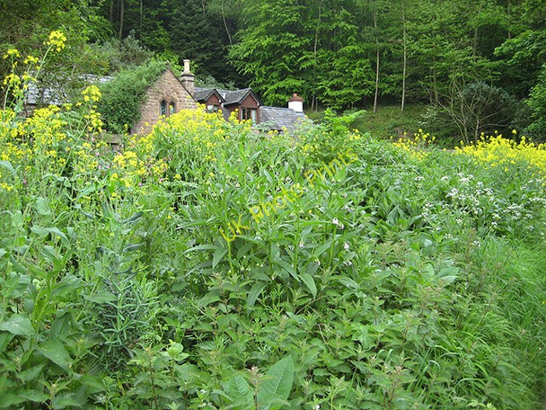 Photo 6"x4" Cottages in the Wye Valley Crocker's Ash c2008