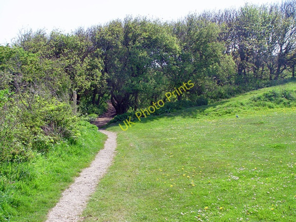 Photo 6"x4" The Cleveland Way above Black Rocks, Scarborough Scarborough\/TA0388 c2008