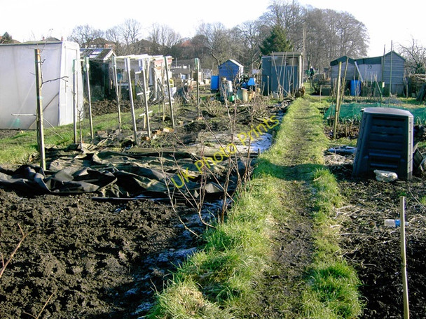 Photo 6"x4" Allotments at Hough End Barlow Moor c2006