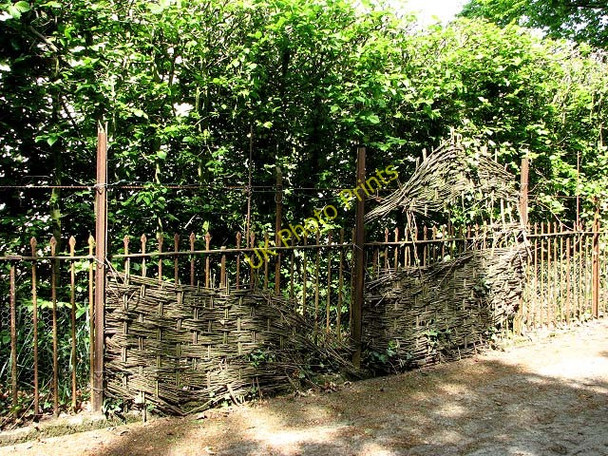 Photo 6"x4" Wrought iron and wickerwork fence Ingham\/TG3926 c2008
