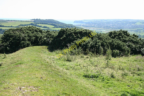 Photo 6"x4" Musbury: Musbury Castle Musbury c2007