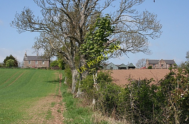Photo 6"x4" Easter Oathlaw Oathlaw c2008