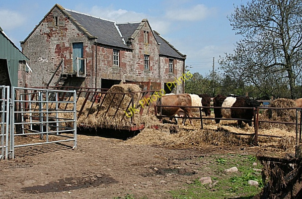 Photo 6"x4" Cattle and Bothy at Easter Oathlaw Oathlaw c2008