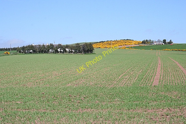 Photo 6"x4" Pitforthie and Bruxie Hill Drumlithie c2008