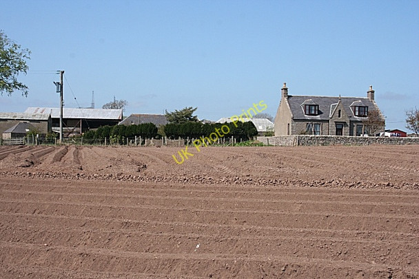 Photo 6"x4" West Mains of Barras Roadside of Kinneff c2008
